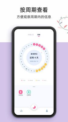 柠檬小月免费下载