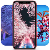 樱花壁纸(Sakura Wallpaper)APP下载