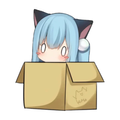 安卓版猫盒子