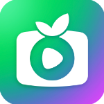 奇异果tv版app免费下载
