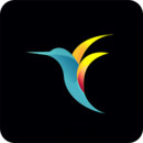 bebird app免费下载