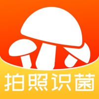 蘑菇识别扫一扫软件中文版下载