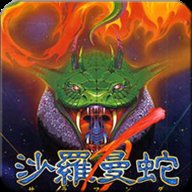 沙罗曼蛇游戏