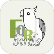 致鸟forbirdsapp下载安装