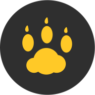 云猫玩最新版下载